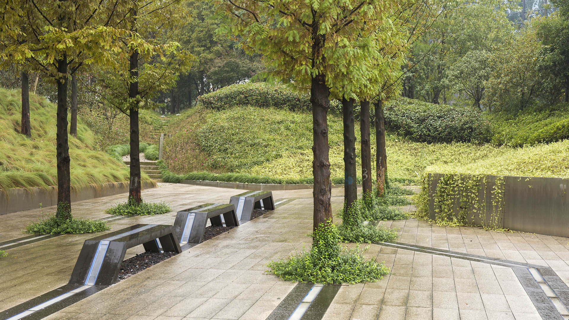 Linan Hightech Park - Jonnu Singleton-9882.jpg