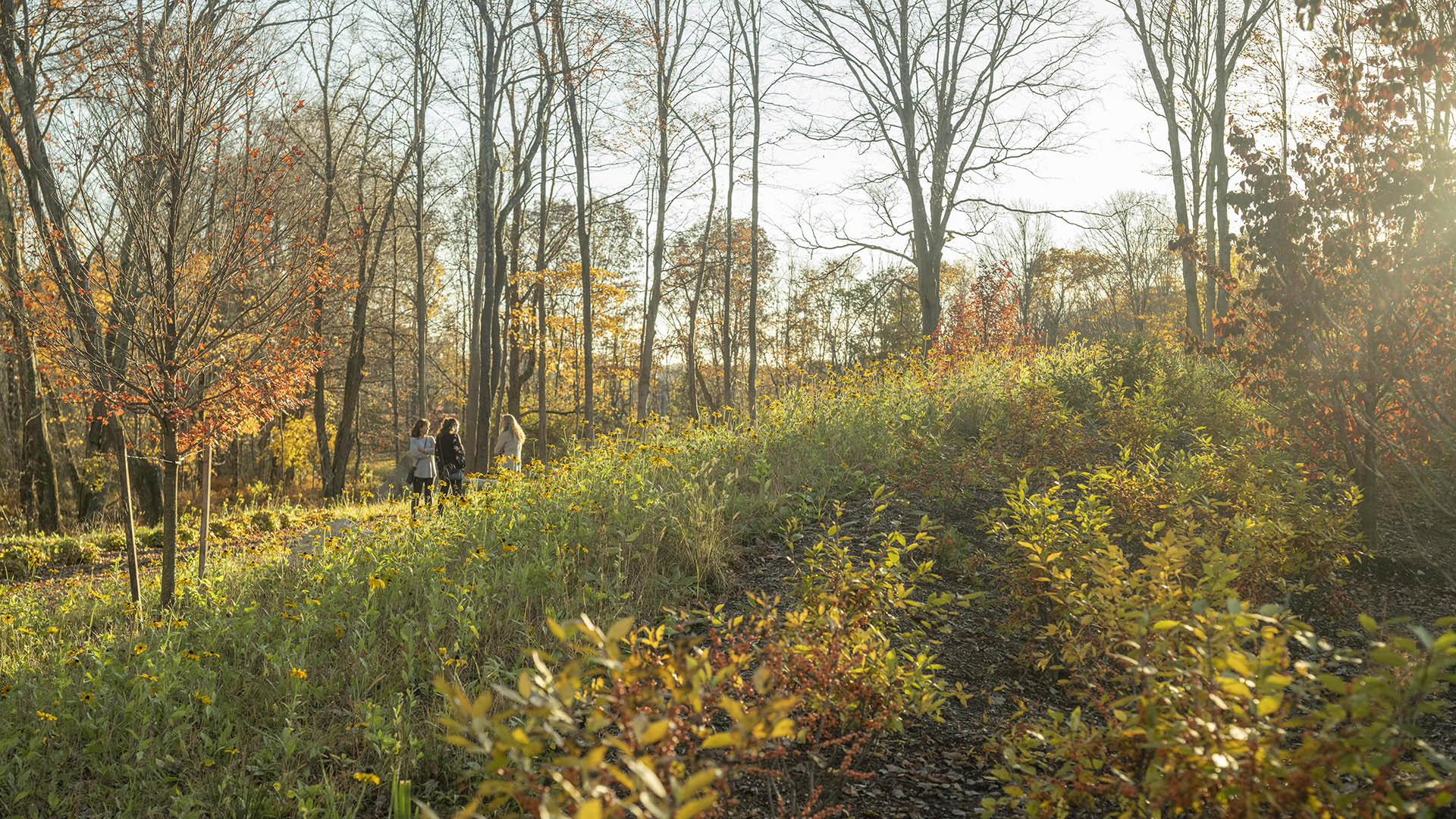 102622_SWA_Artemis_LandinoPhoto_018