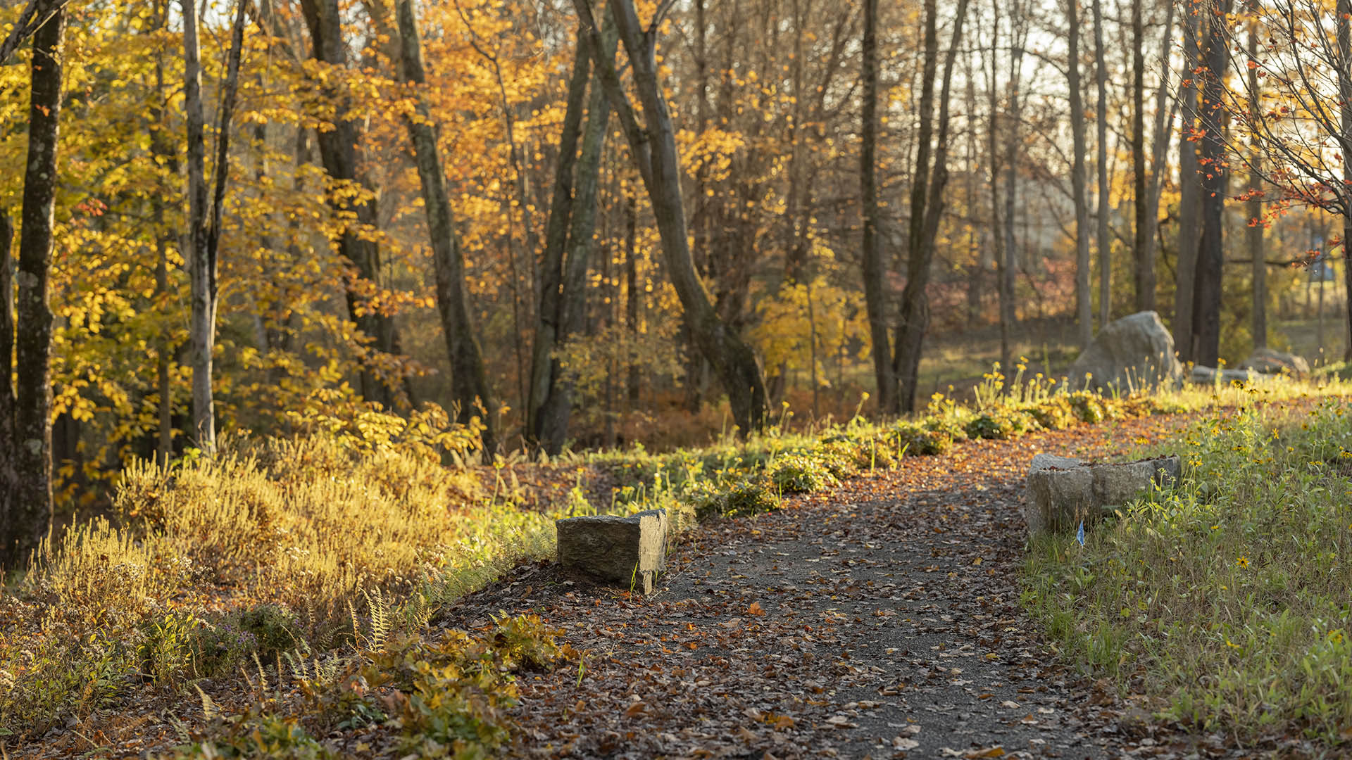 102622_SWA_Artemis_LandinoPhoto_023