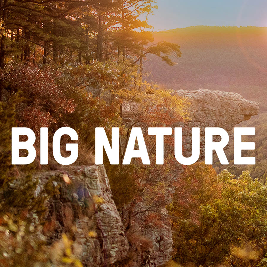 Grounding Walmart’s New Home Office Campus in Big Nature