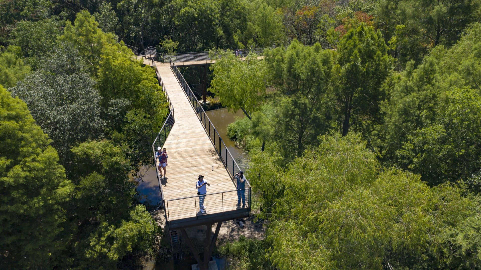 High Island Audubon Canopy Walk - Jonnu Singleton-2-44_presentation