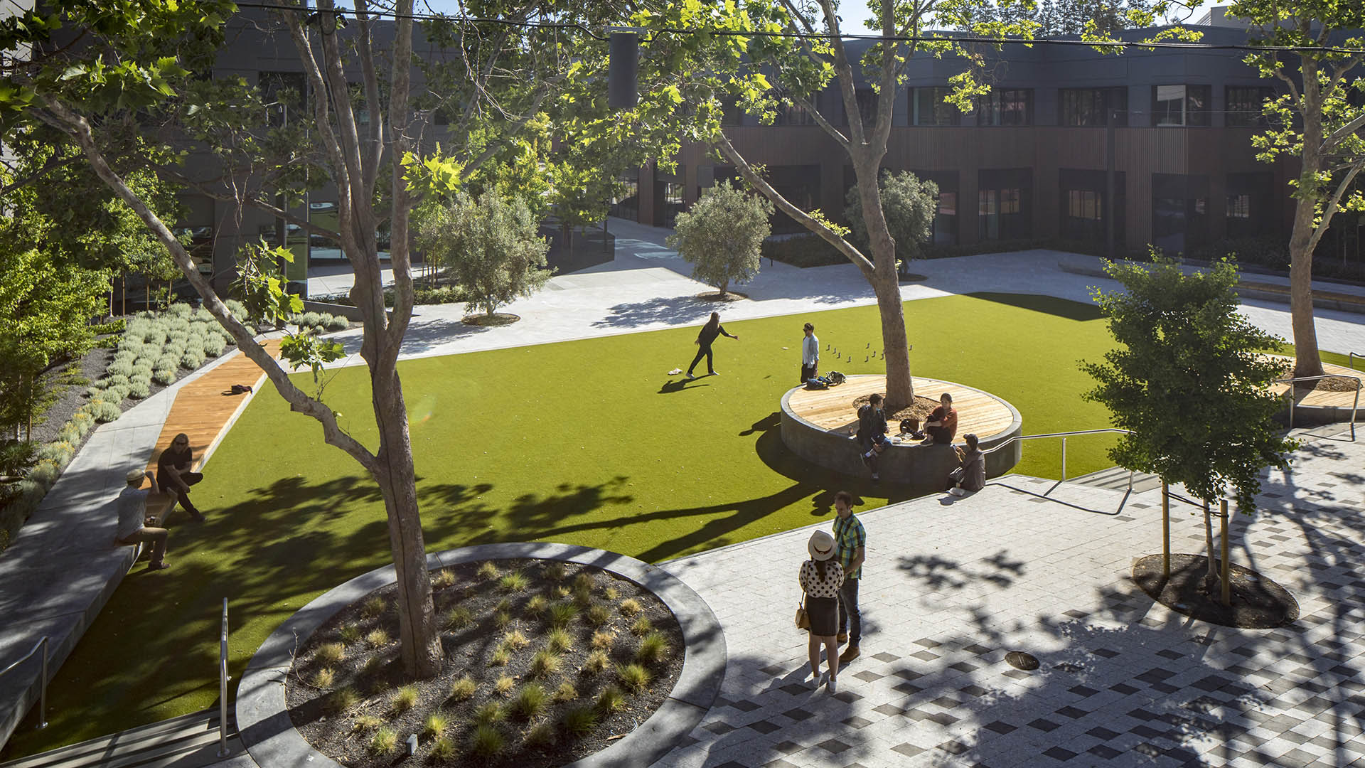 East Evelyn Ave Campus-David Lloyd-4499