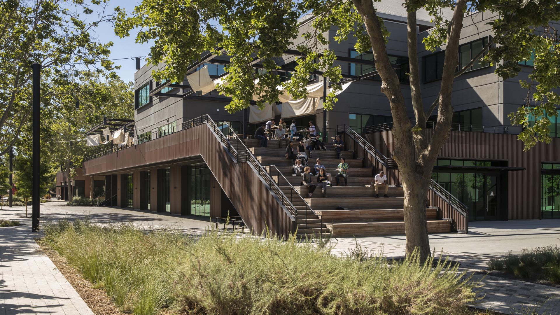 East Evelyn Ave Campus-David Lloyd-4357_presentation