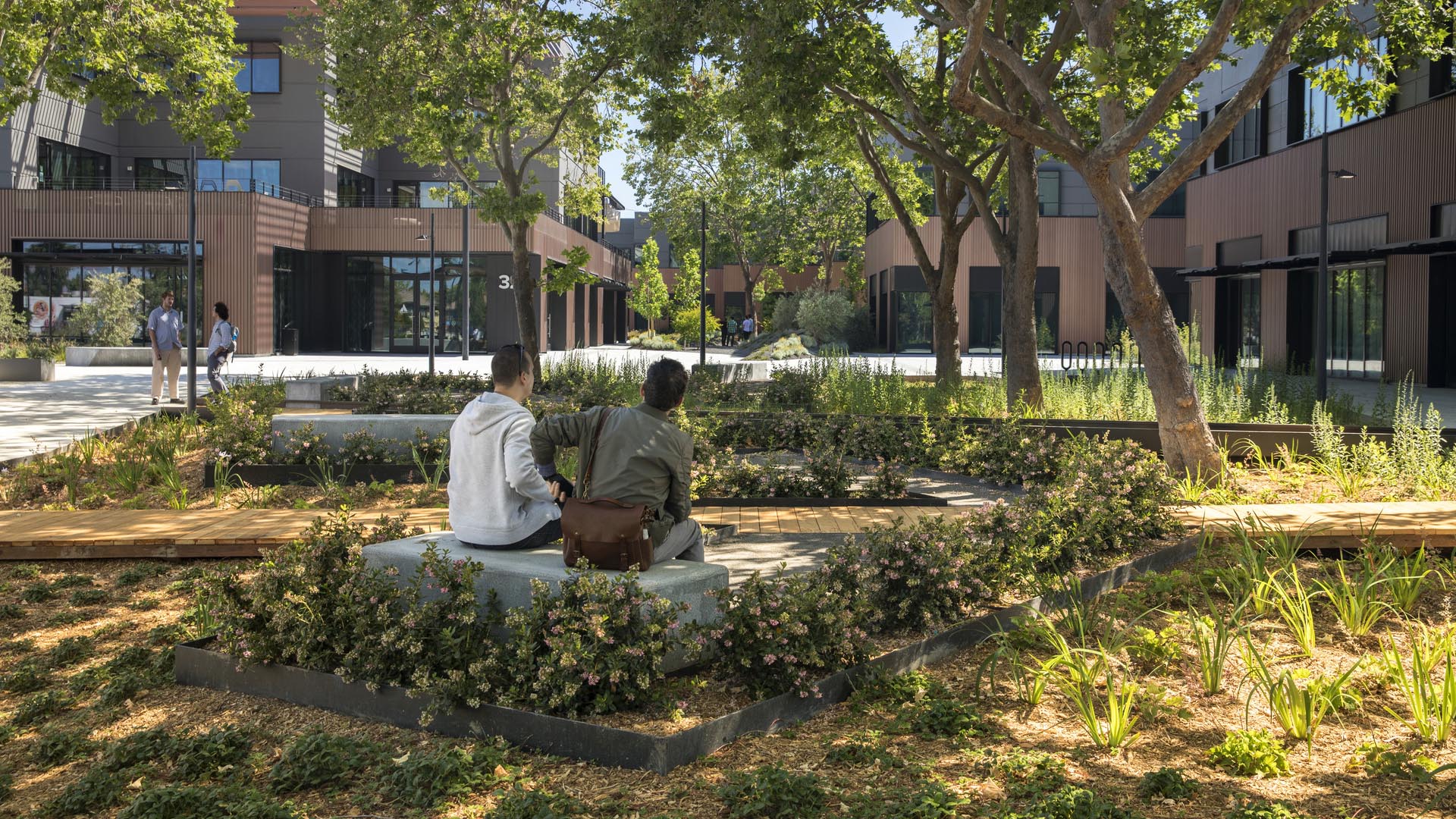 East Evelyn Ave Campus-David Lloyd-4195_presentation