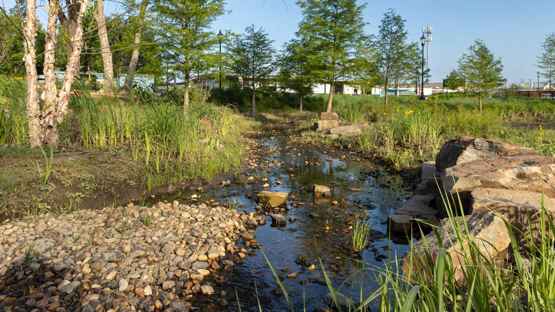 Martin Luther King Park - 8