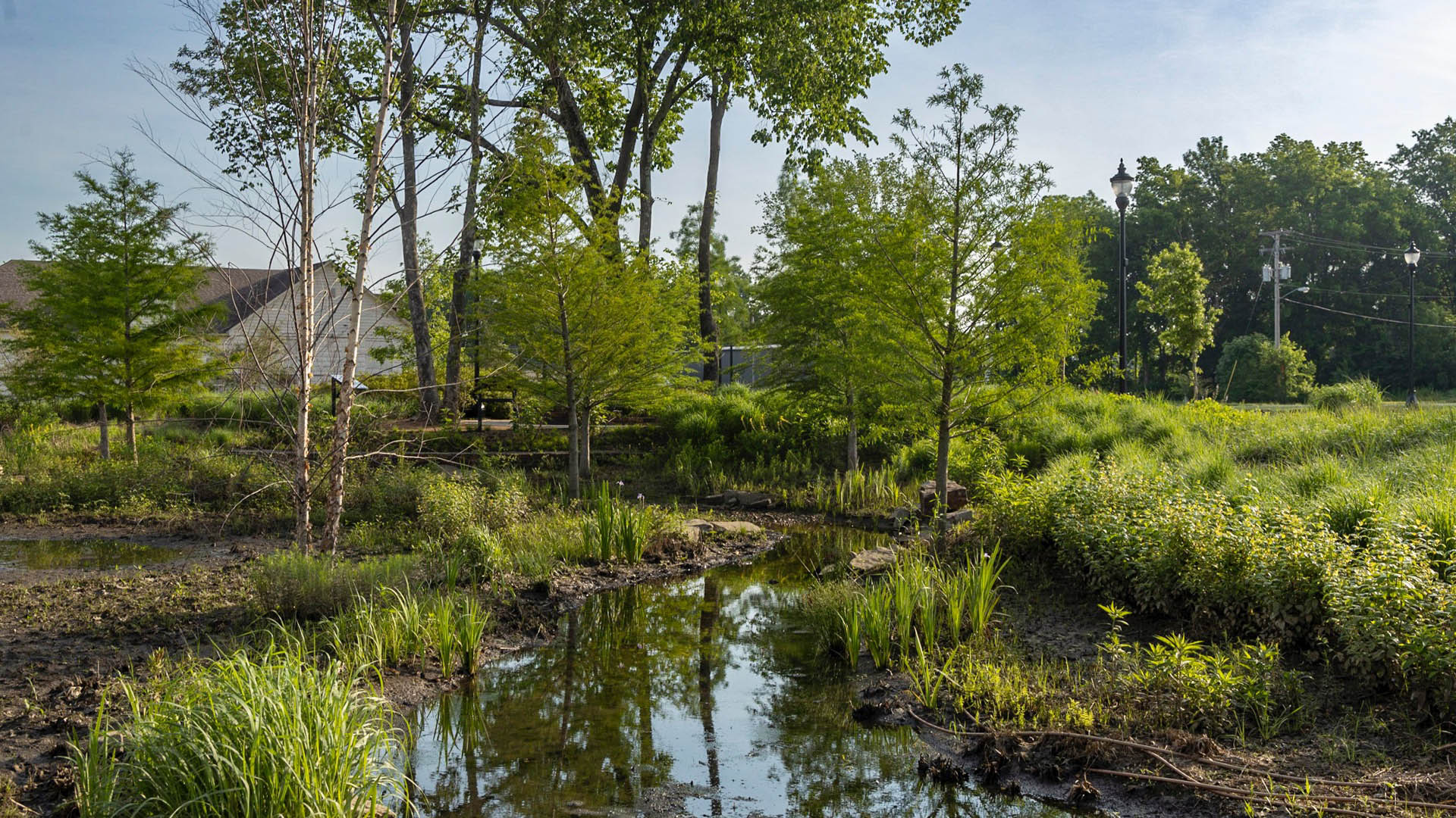 Martin Luther King Park - 6