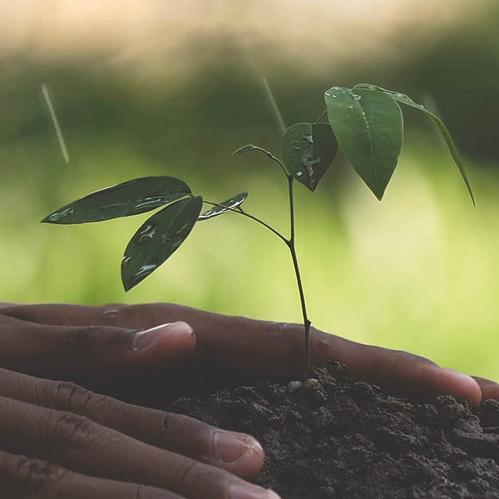 Celebrate Earth Day 2022