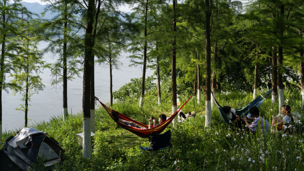 Future Trees: Pre-adapting the Urban Forest
