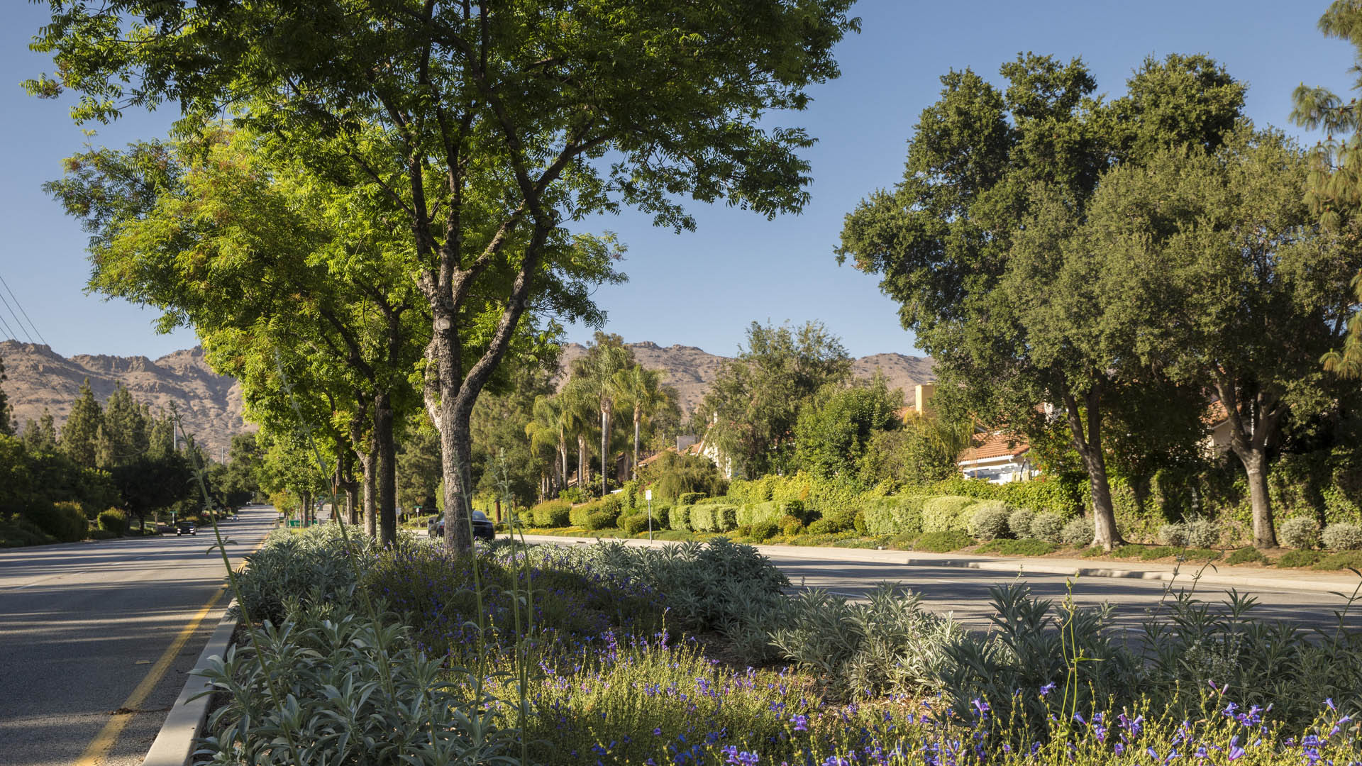 Thousand Oaks Medians-David Lloyd-3398_presentation