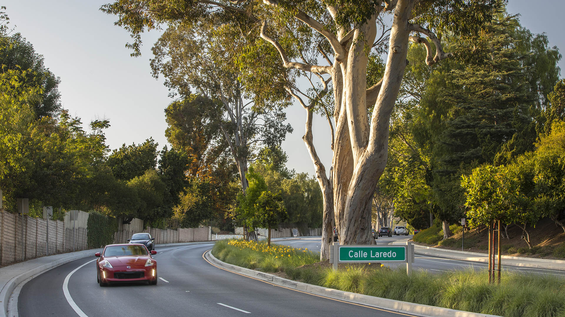 Thousand Oaks Medians-David Lloyd-3644