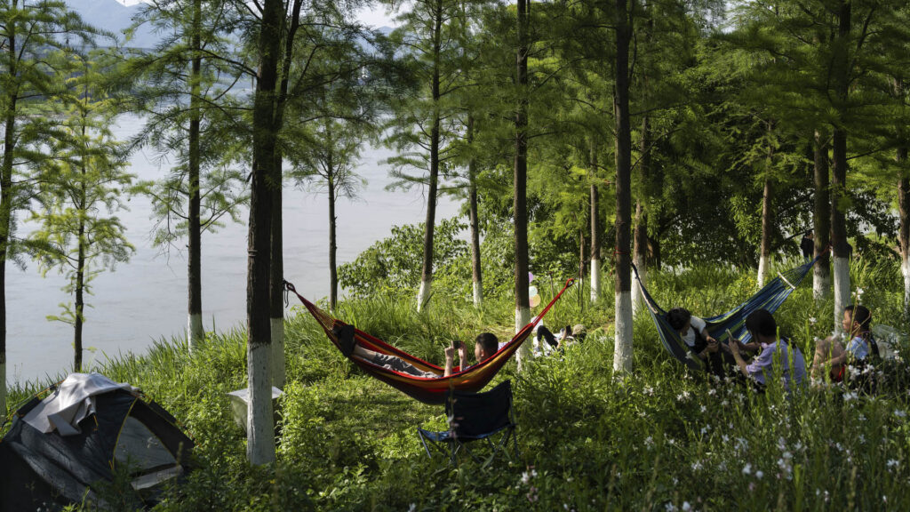 Future Trees: Pre-adapting the Urban Forest