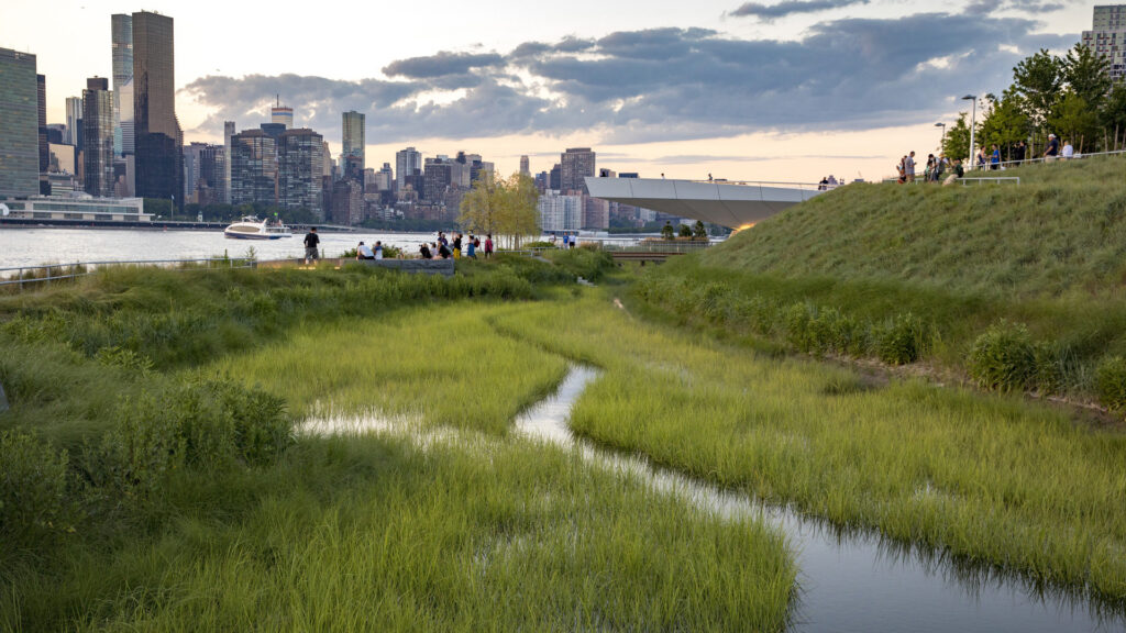 Resilience Case Study: Coast