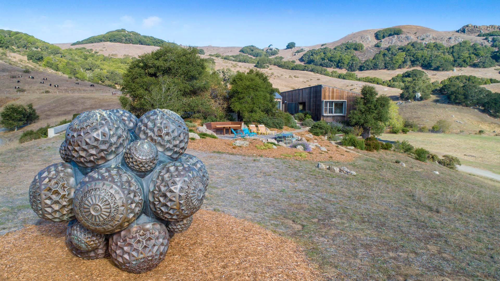 Hicks Mountain Ranch 6