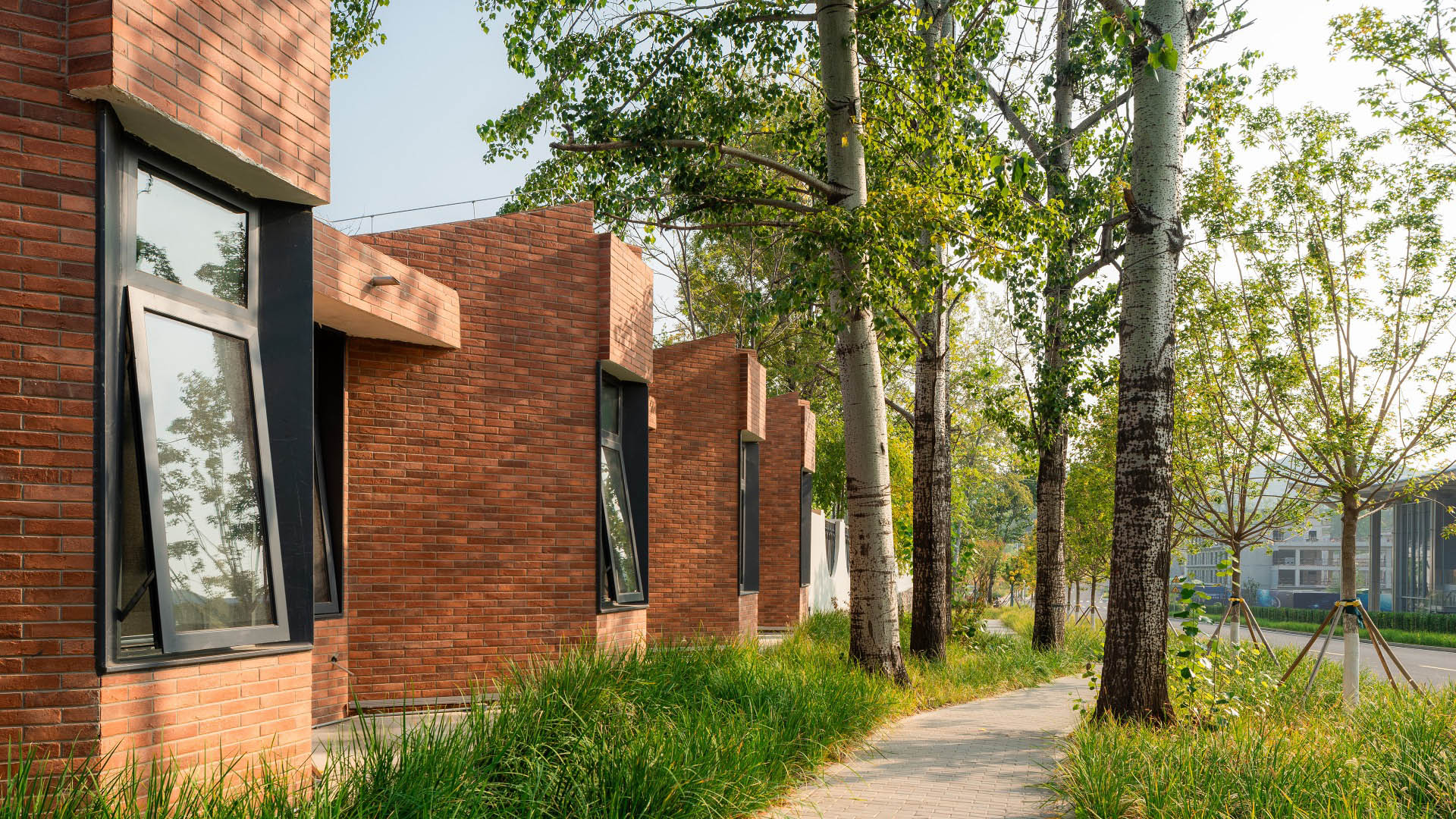 Xingfa Cement Plant - 7