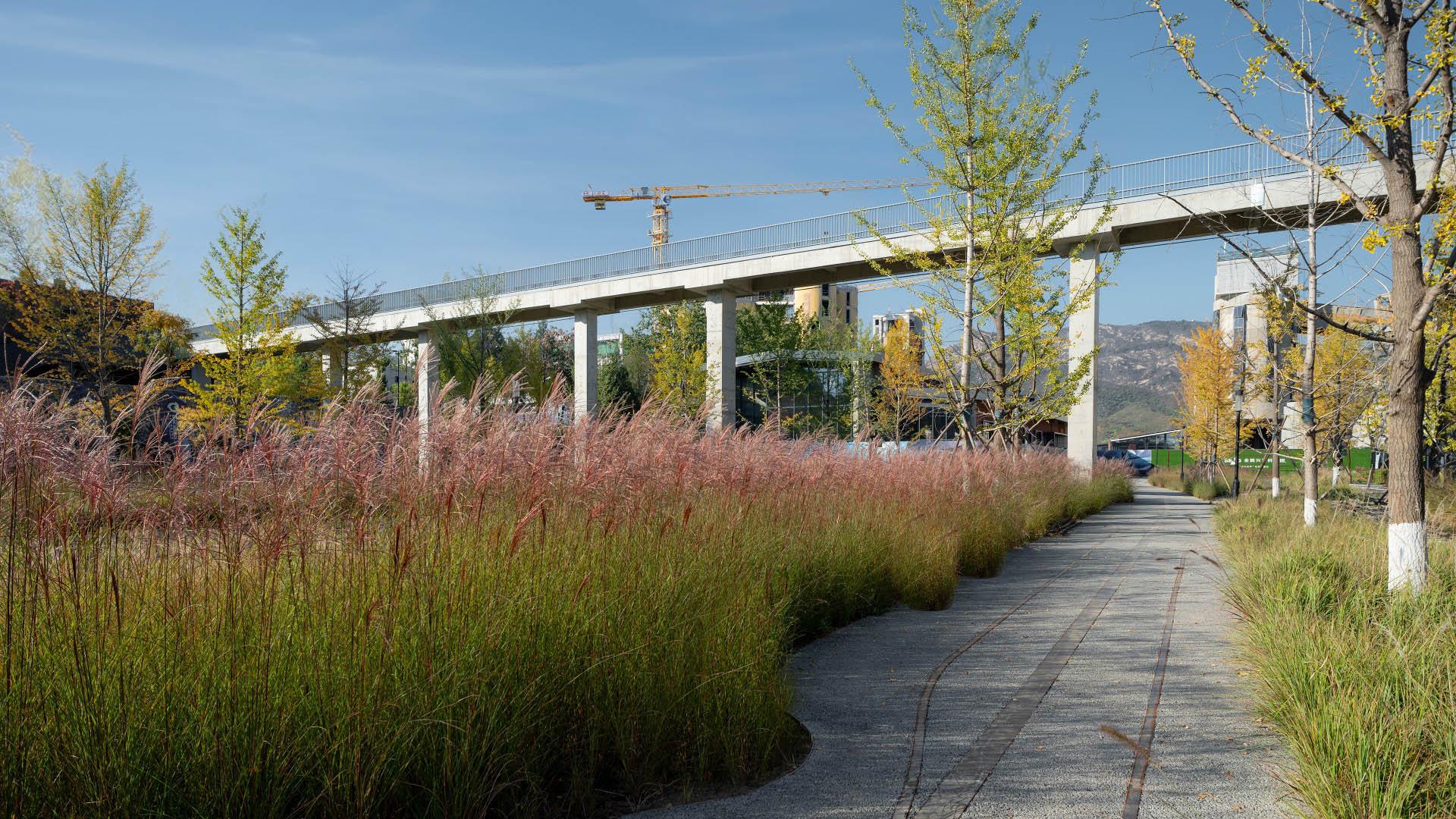 Xingfa Cement Plant - 8