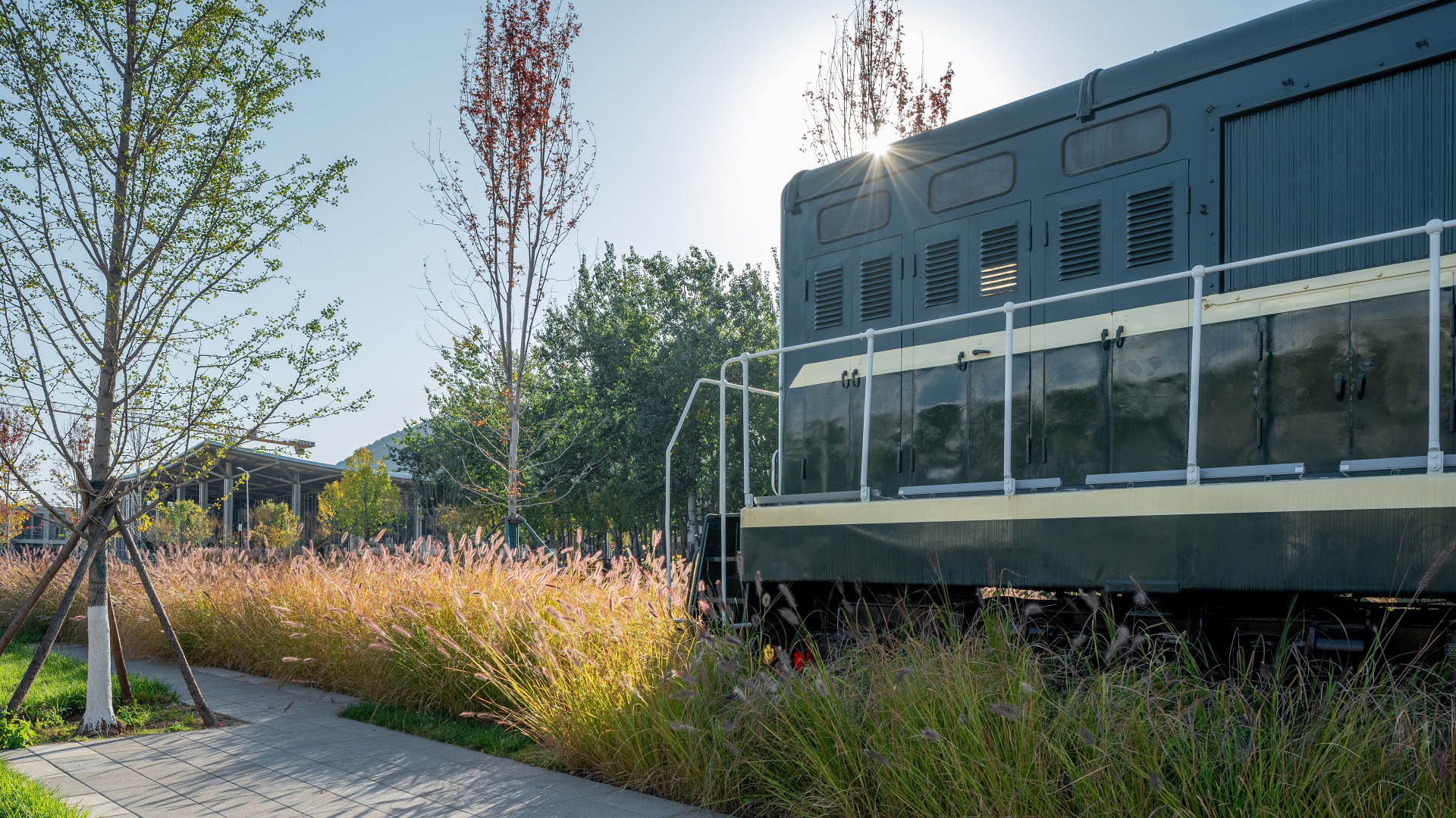 Xingfa Cement Plant - 10