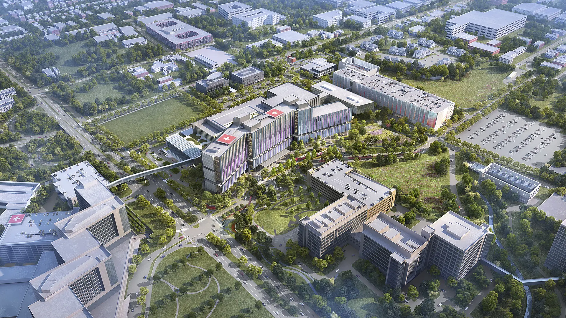 HKST202_Pediatric-Campus_2024_c01