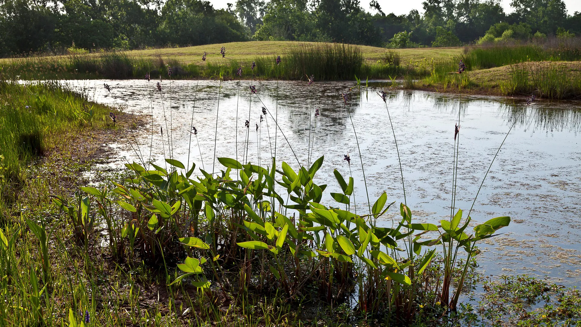 Buffalo Bend Park (4)
