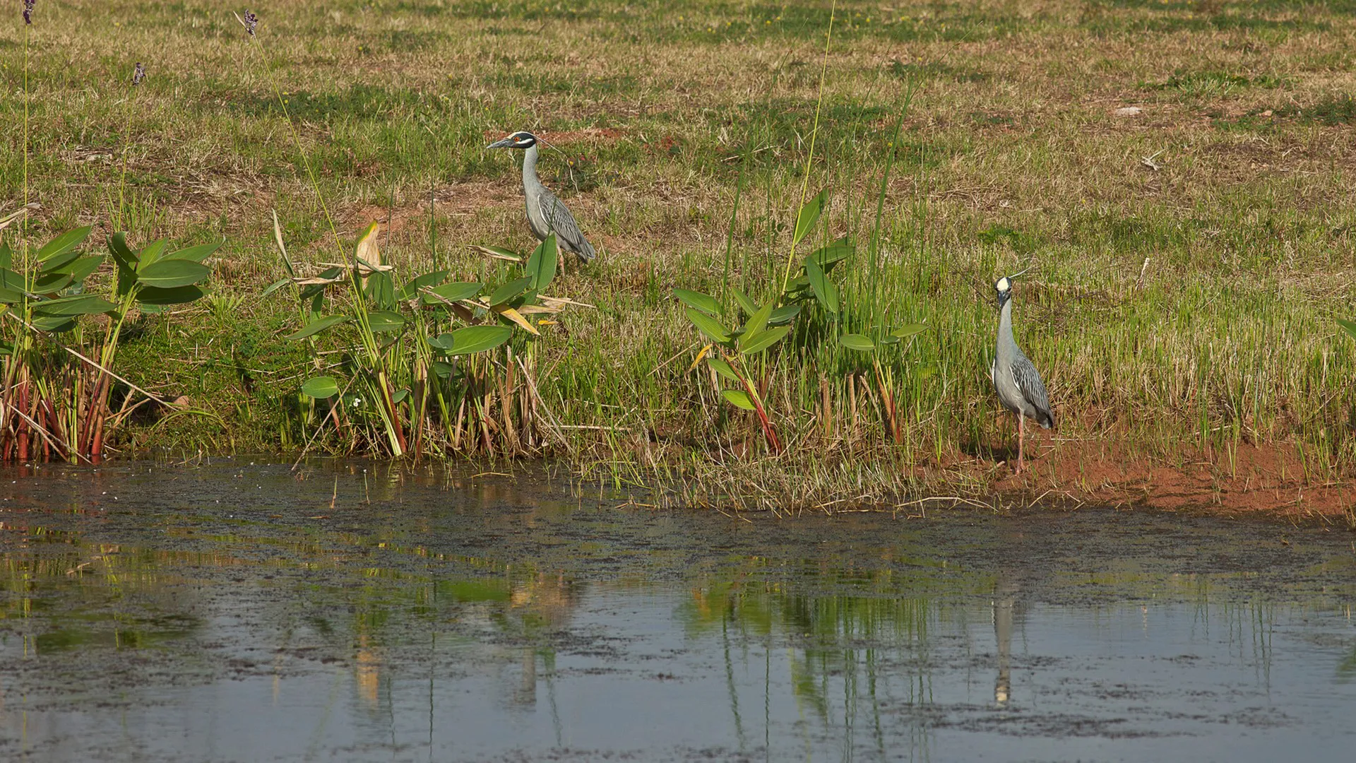 Buffalo Bend Park (9)
