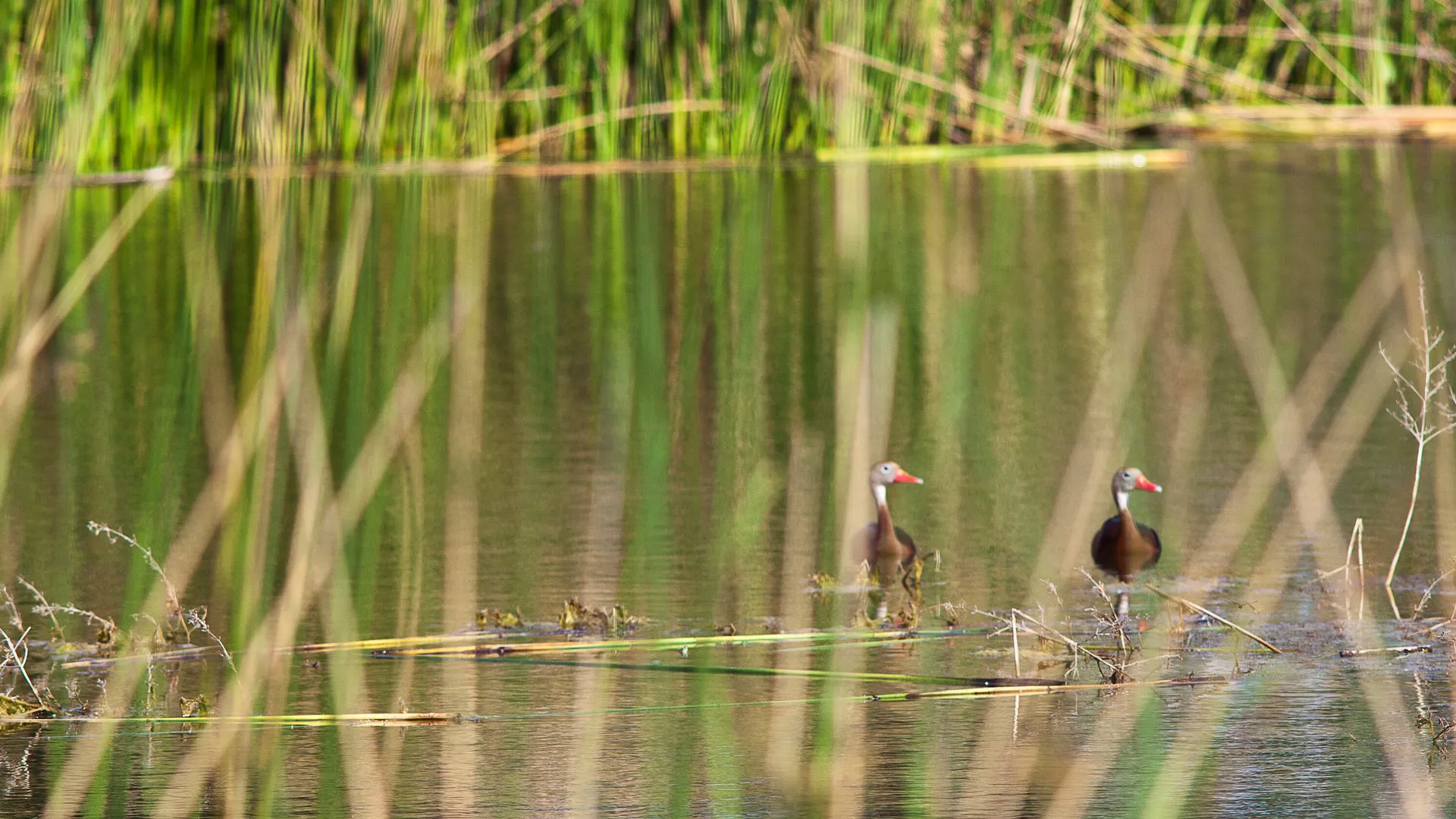 Buffalo Bend Park (10)