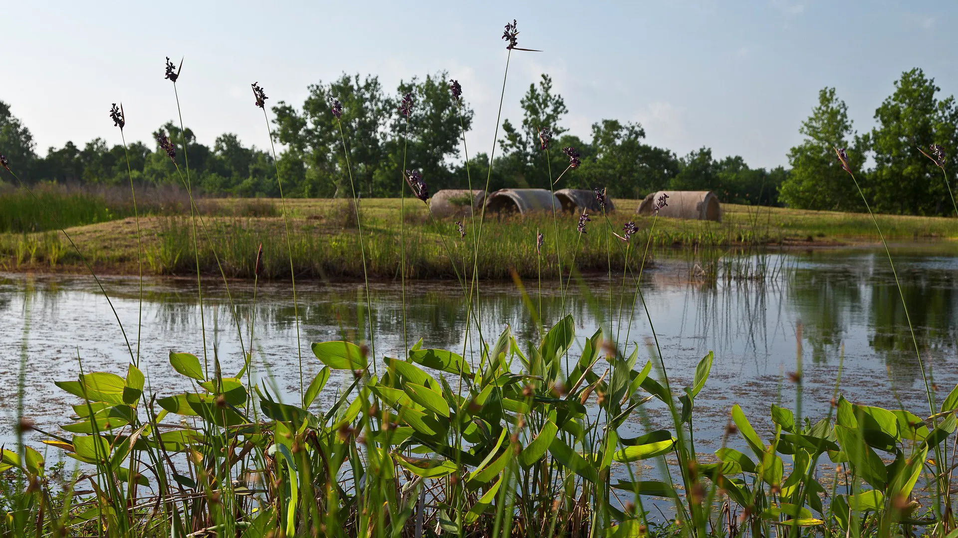 Buffalo Bend Park (11)
