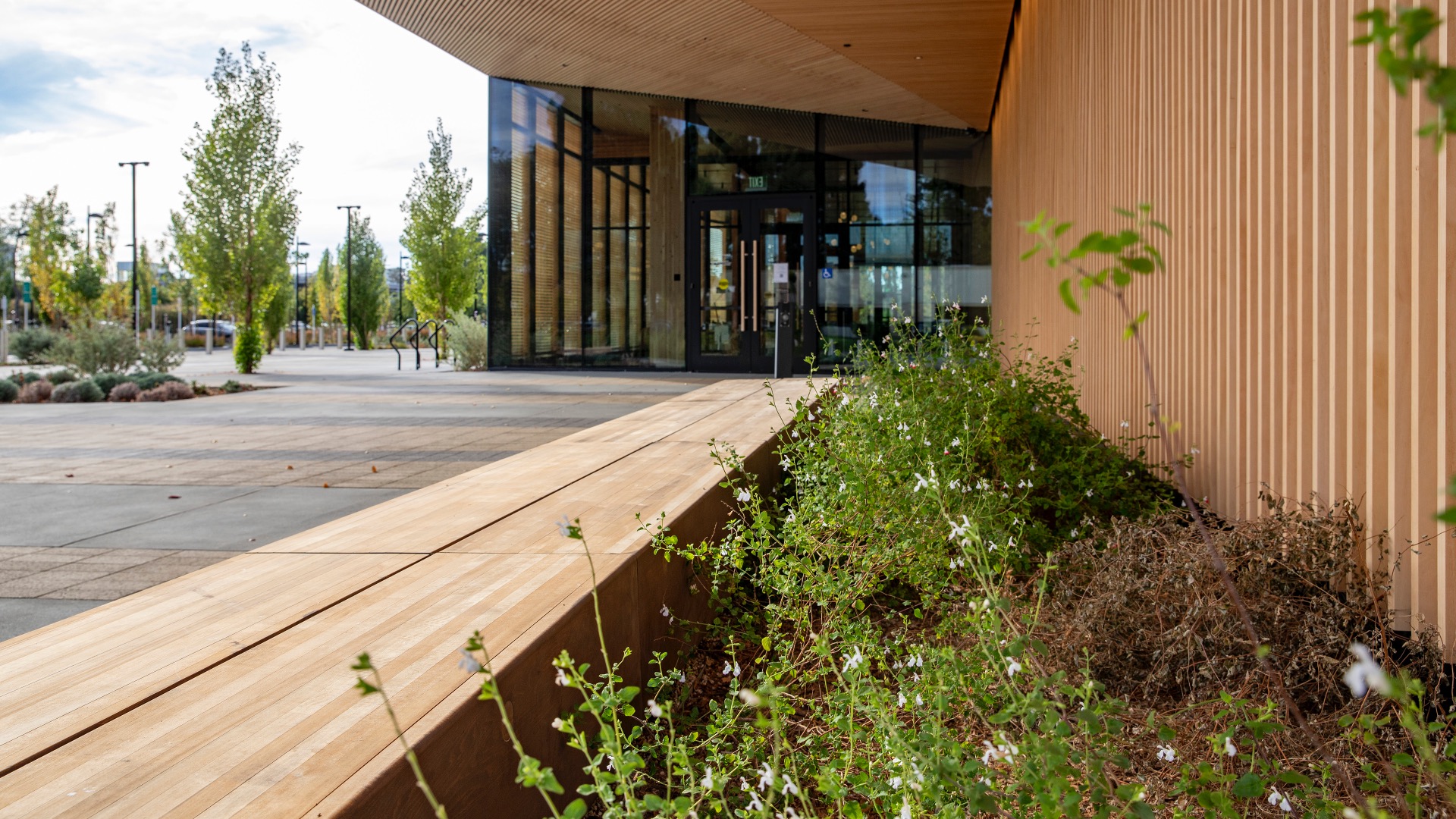 Sunnyvale Mass Timber (4)