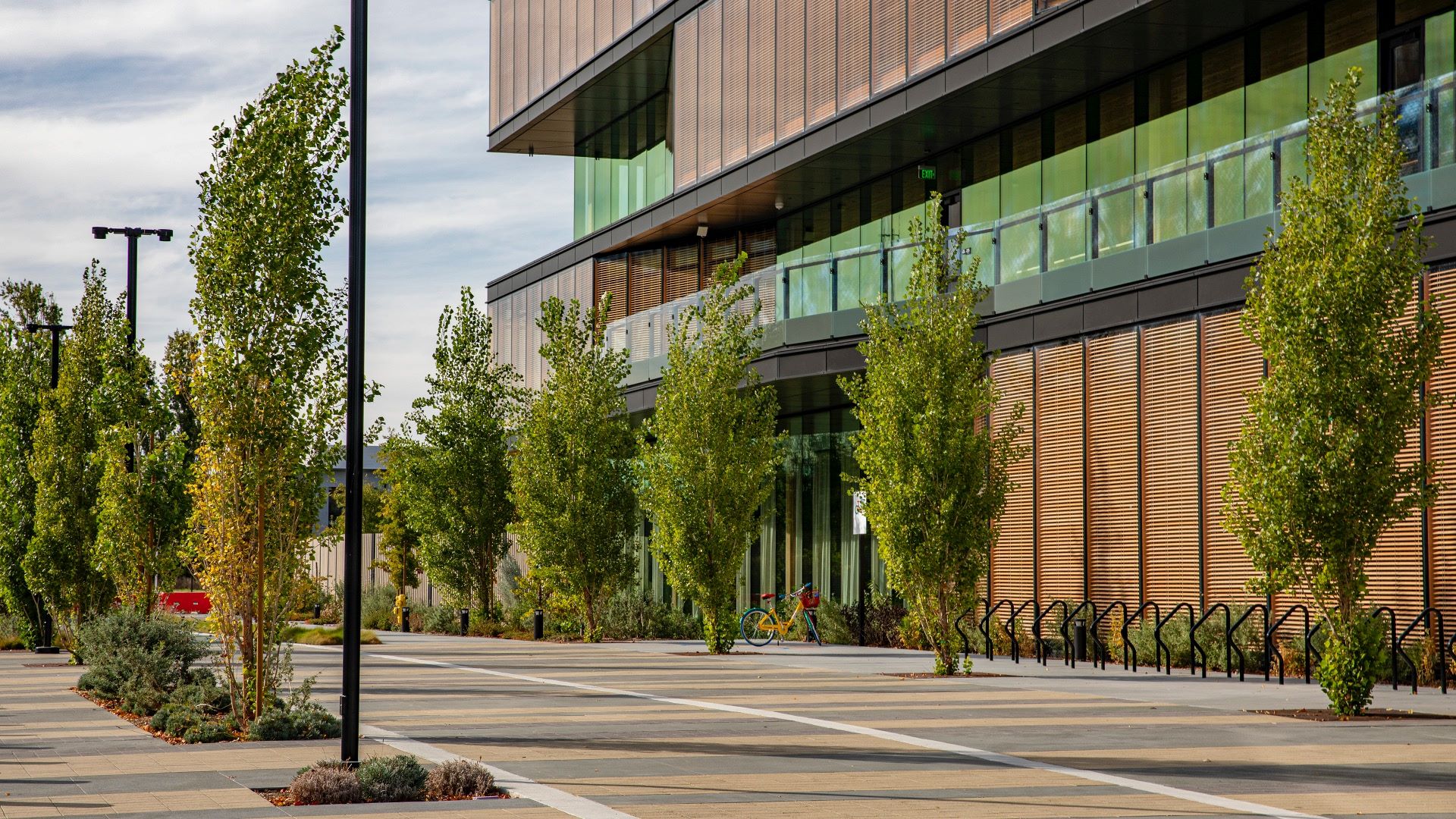 Sunnyvale Mass Timber (5)