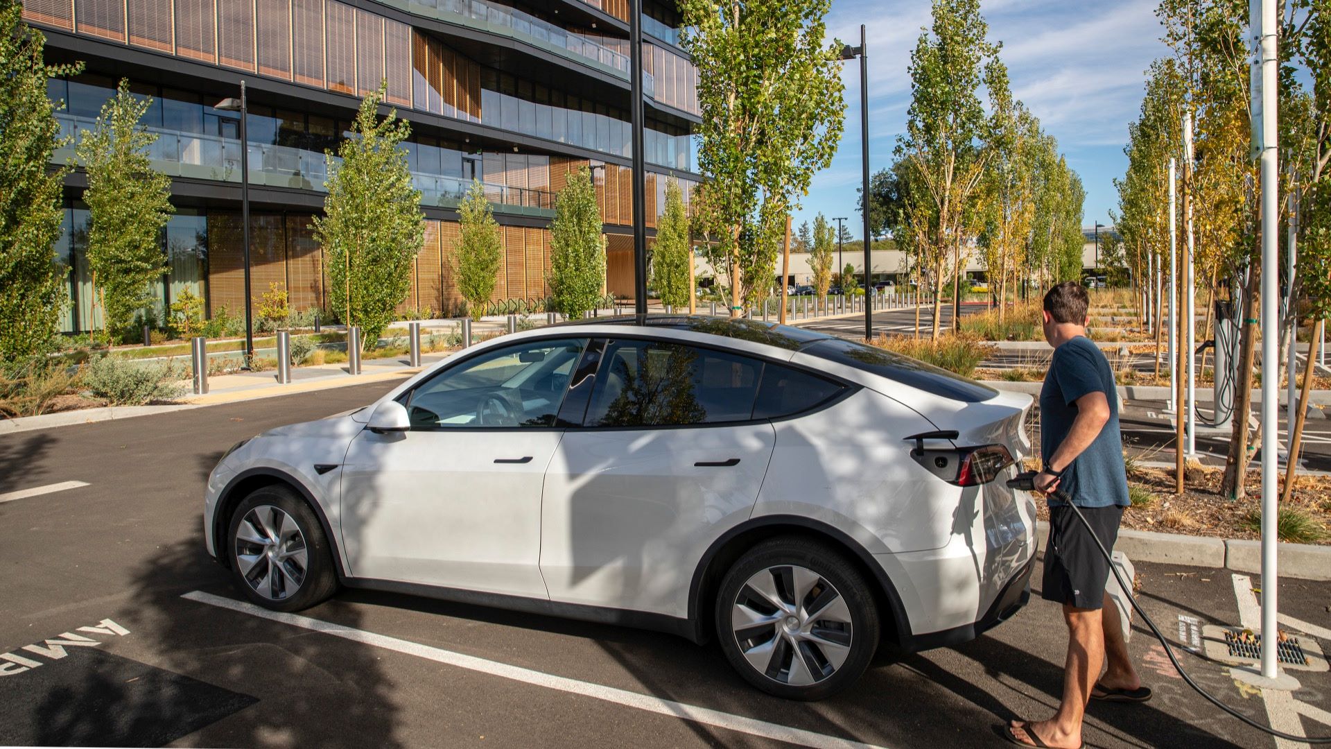 Sunnyvale Mass Timber (6)