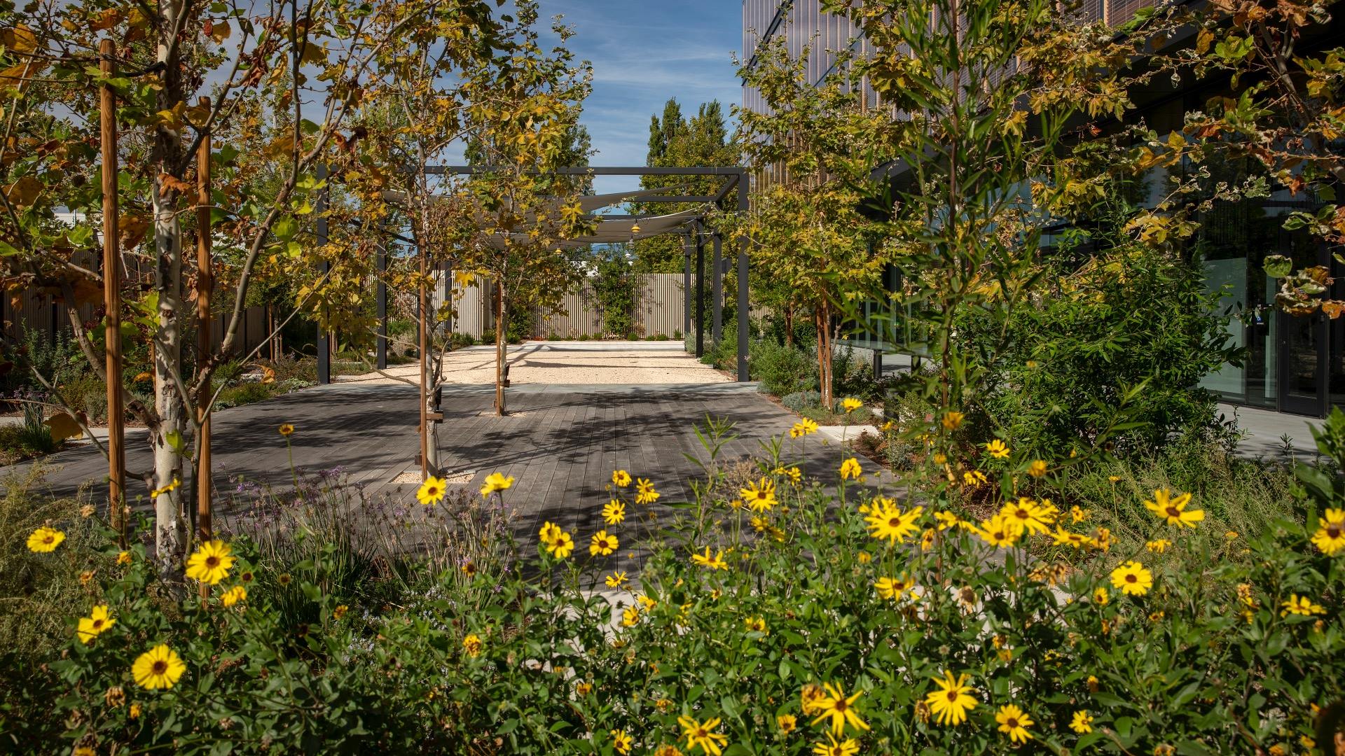Sunnyvale Mass Timber (8)