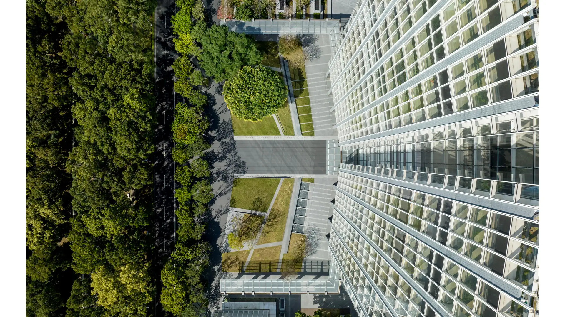 China Life Insurance Headquarters (2)