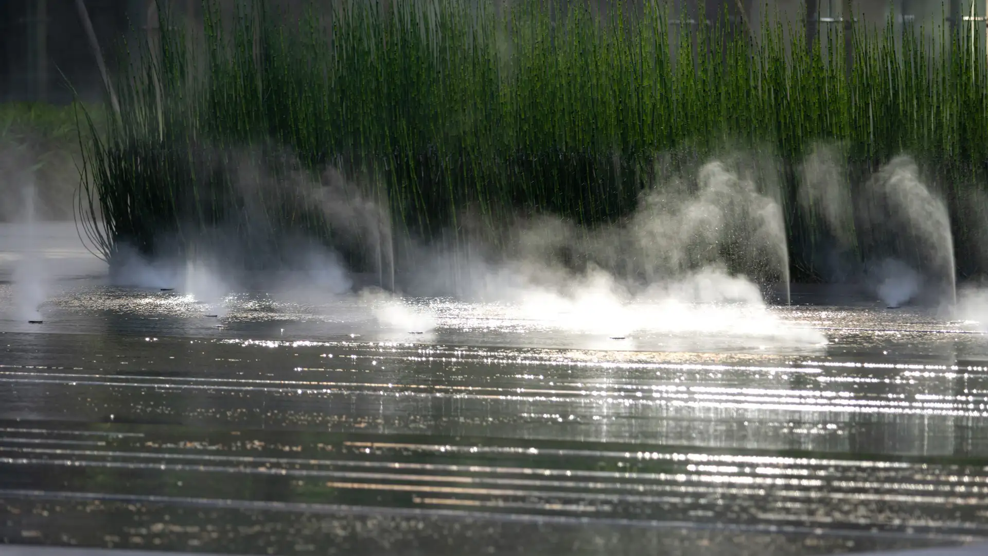 XMAS501_Xiamen Air HQ_6