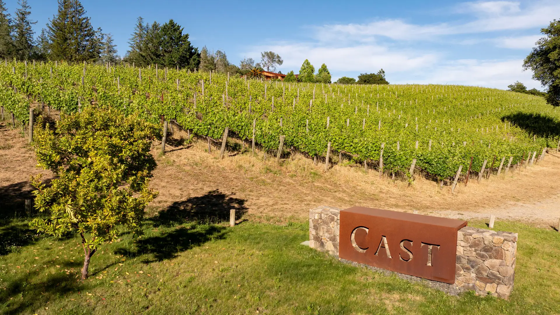 CAST Cellars Winery_ (2)