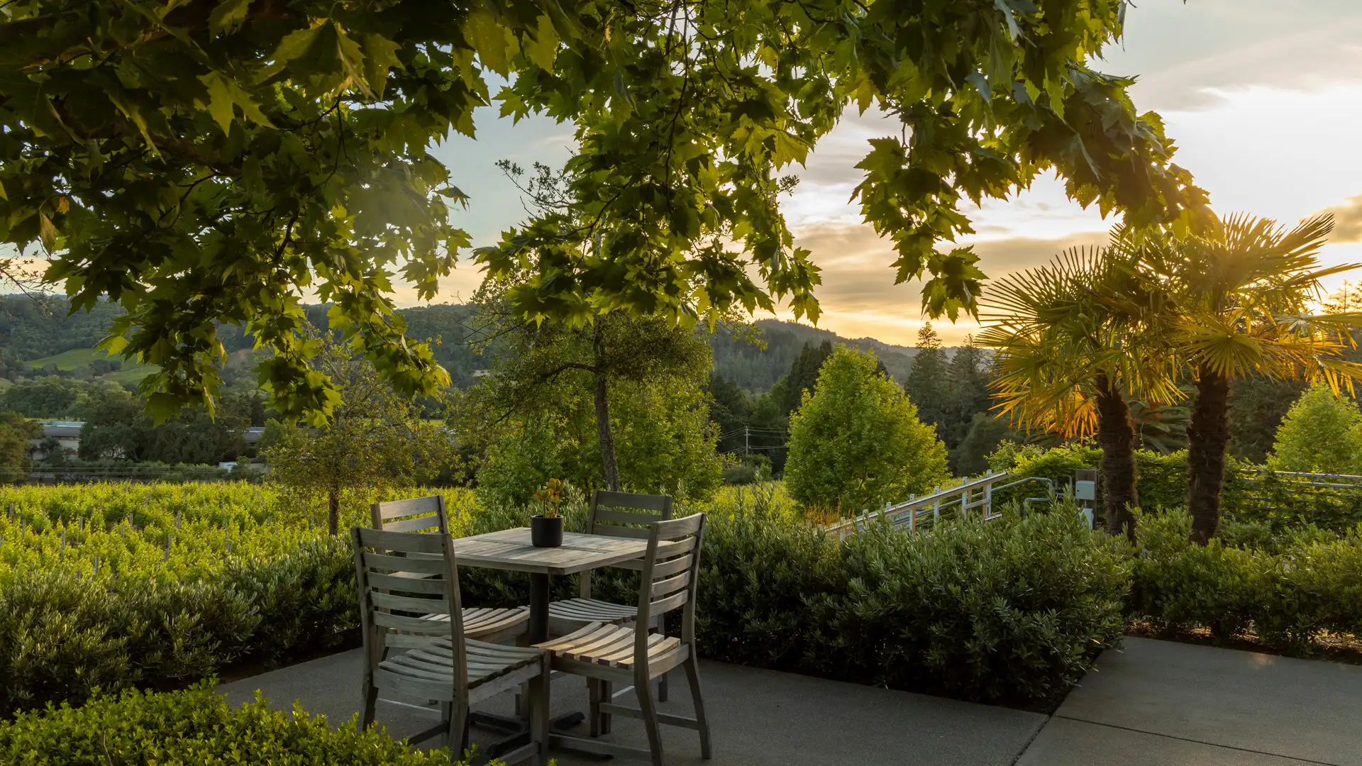 CAST Cellars Winery_ (11)