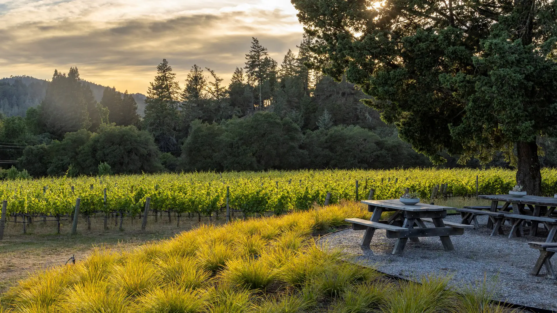 CAST Cellars Winery_ (12)