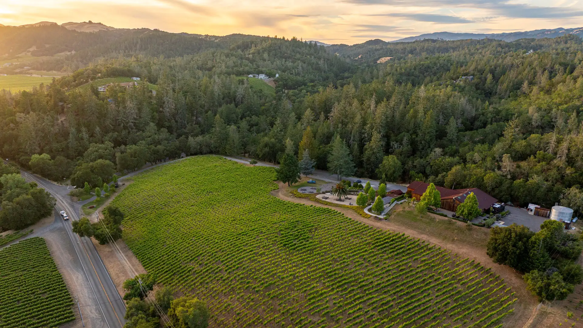 CAST Cellars Winery_ (14)