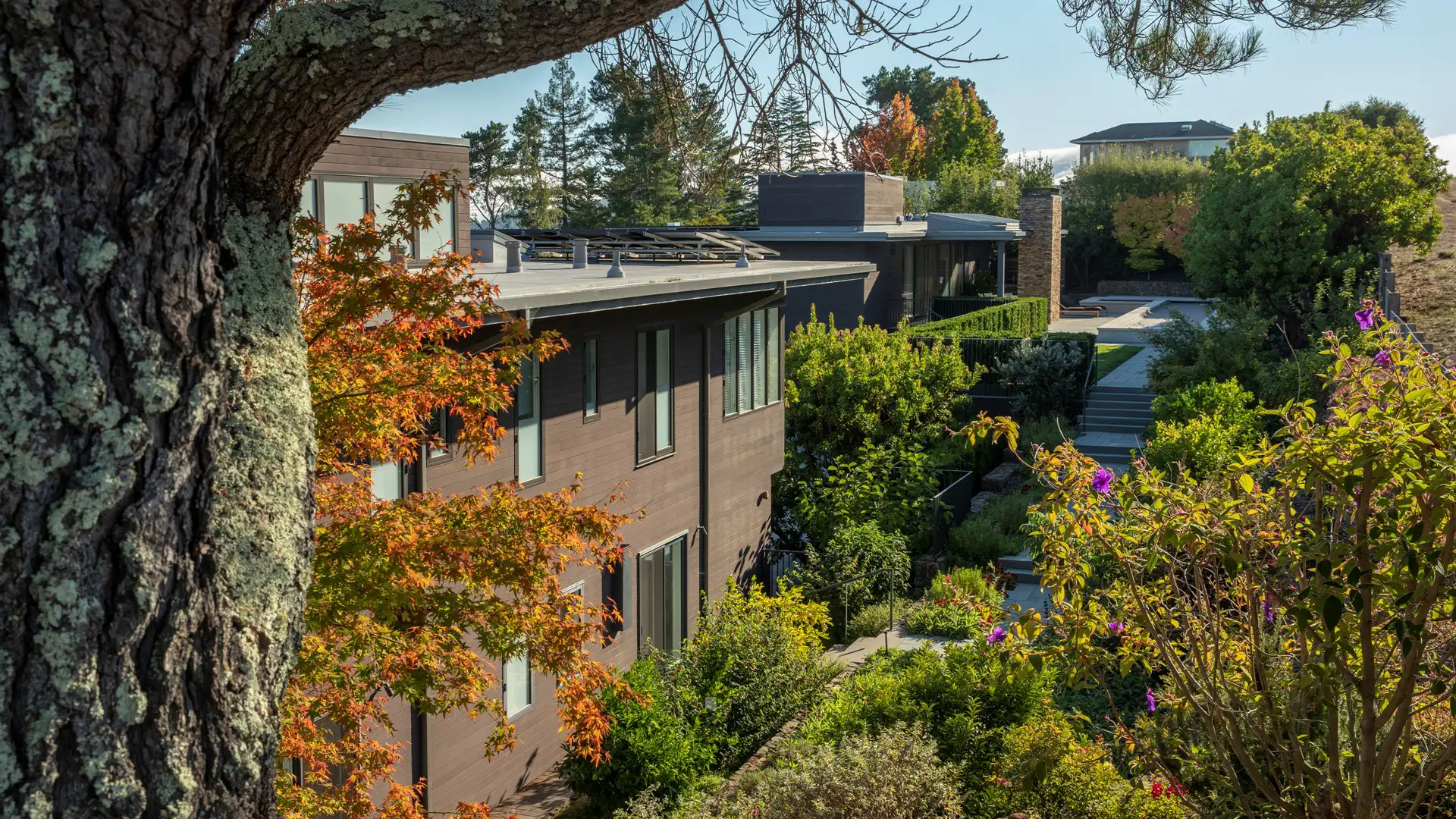Mill Valley Residence (4)