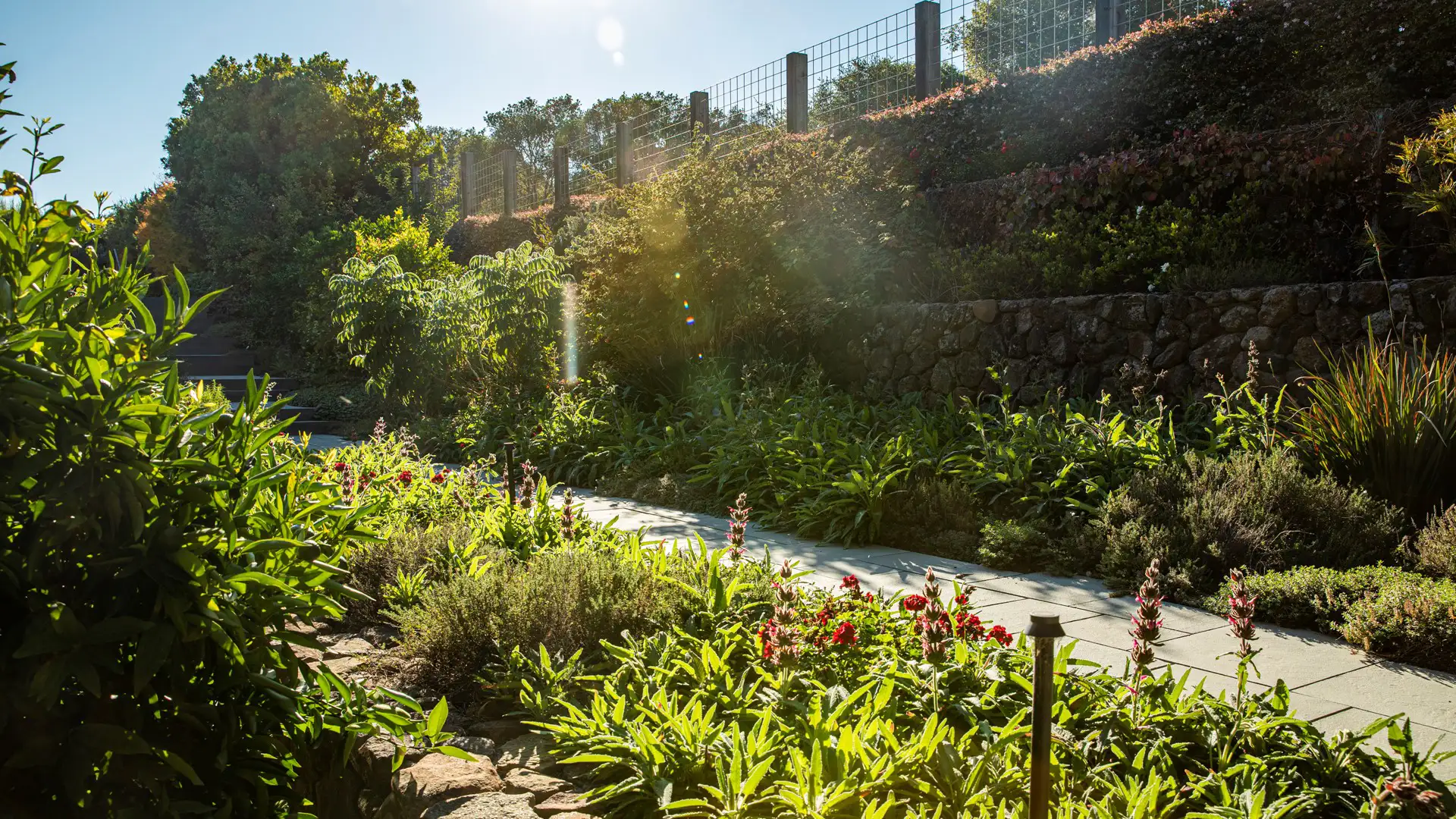 Mill Valley Residence (6)