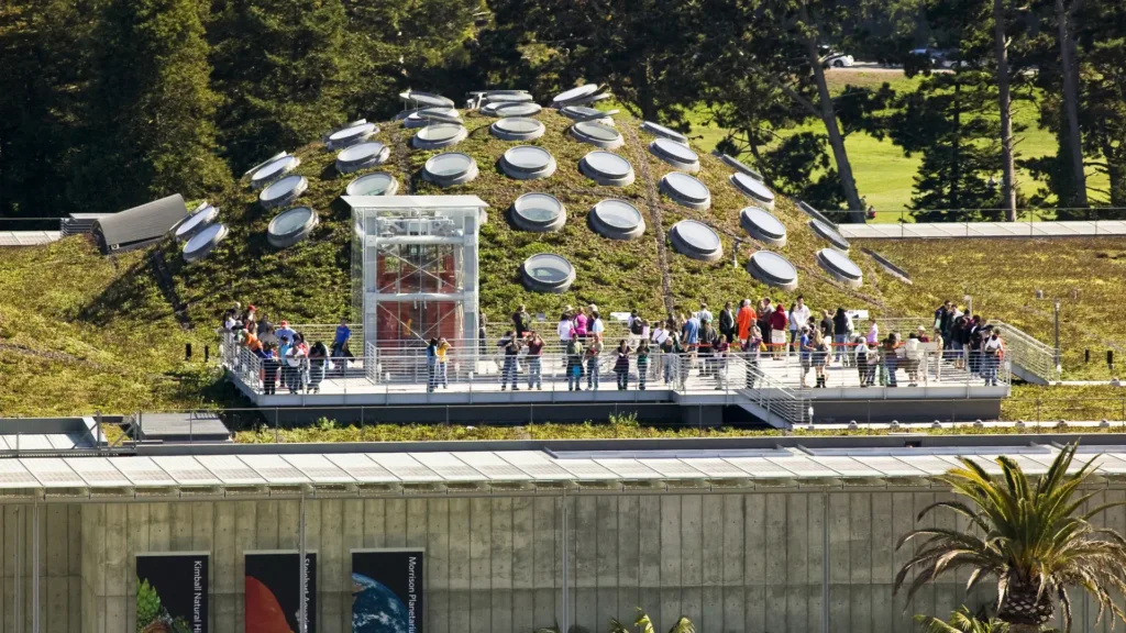 20 Years On – The Green Roof at the California Academy of Sciences