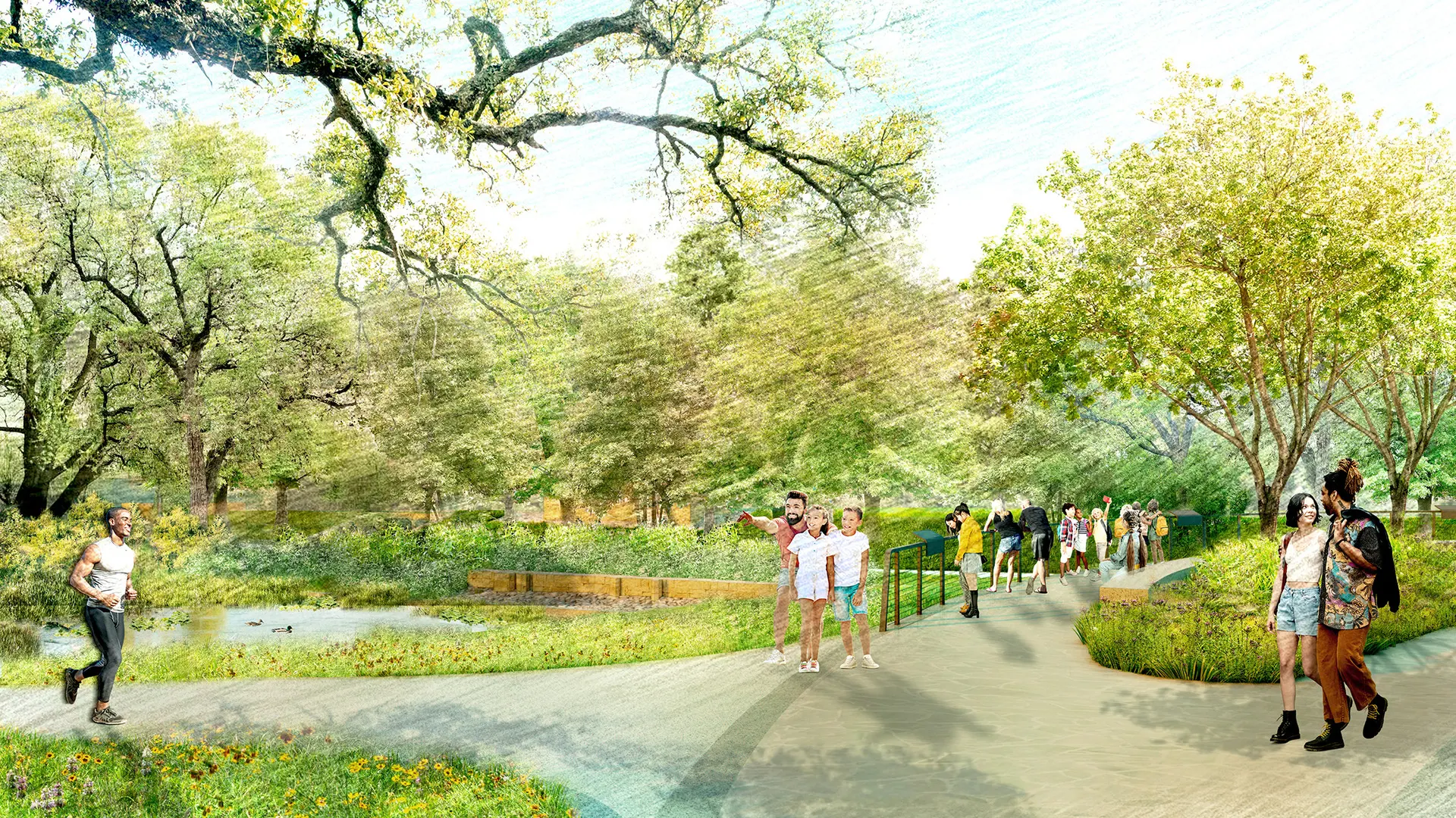 Brackenridge Park - Illustration 4