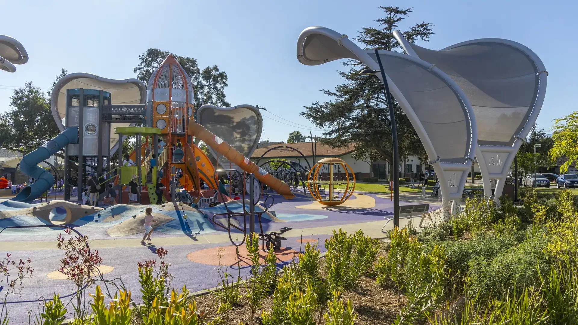Live Oak Park - Bill Tatham-3324