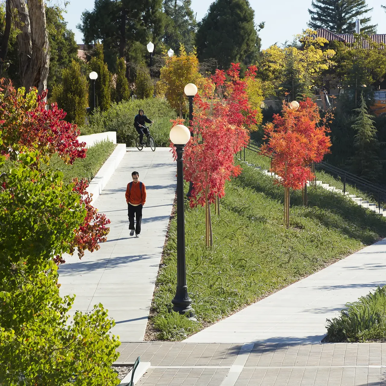Stanford Terman Park-Tom Fox-2202