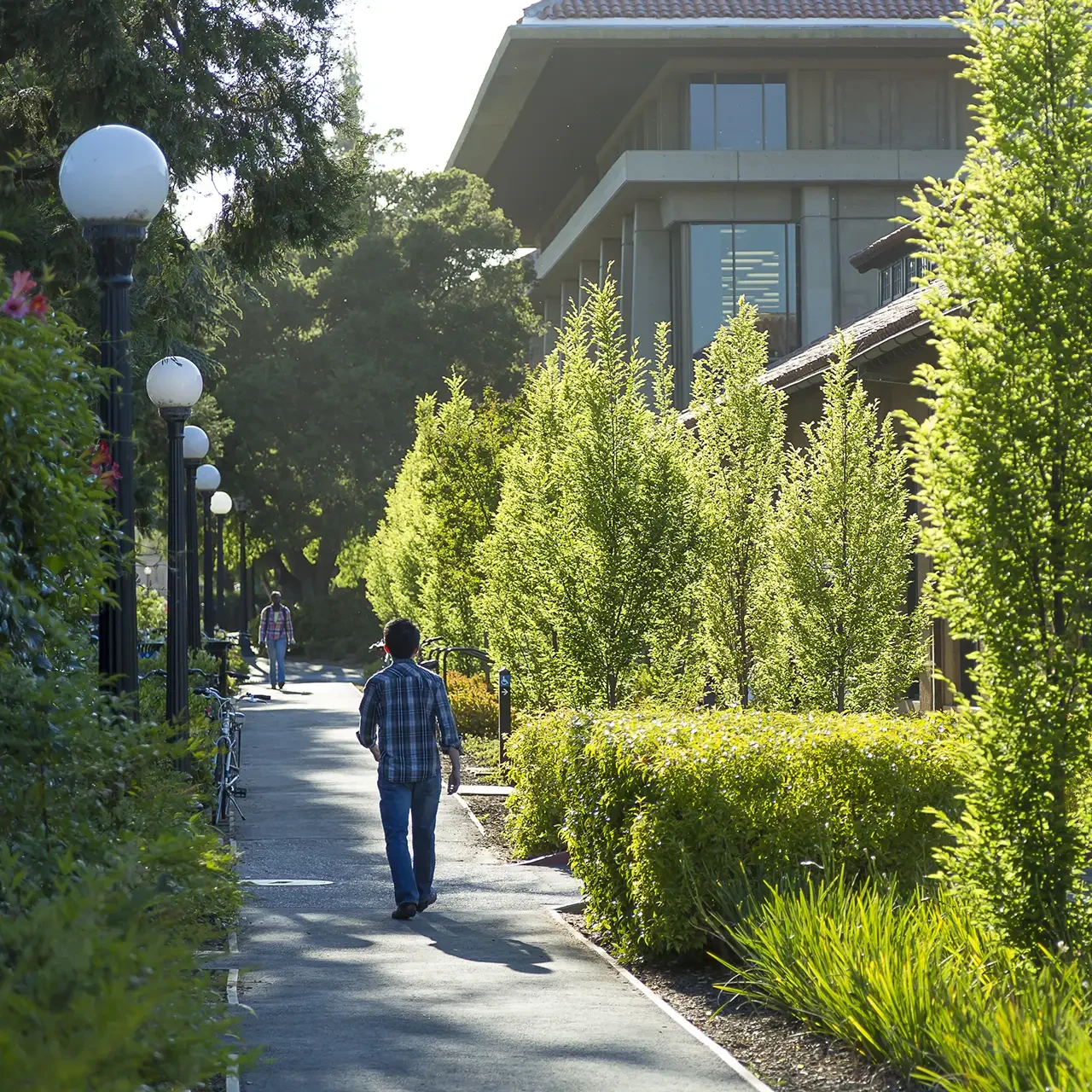 Stanford Panama Mall-Tom Fox-3926