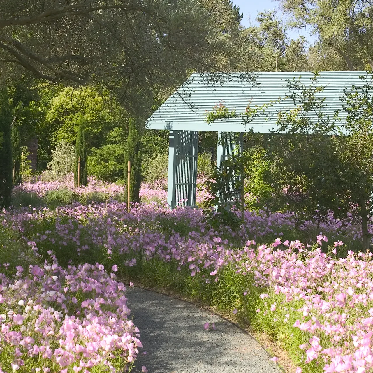 Stanford Meyer-Buck Estate 1046-Tom Fox