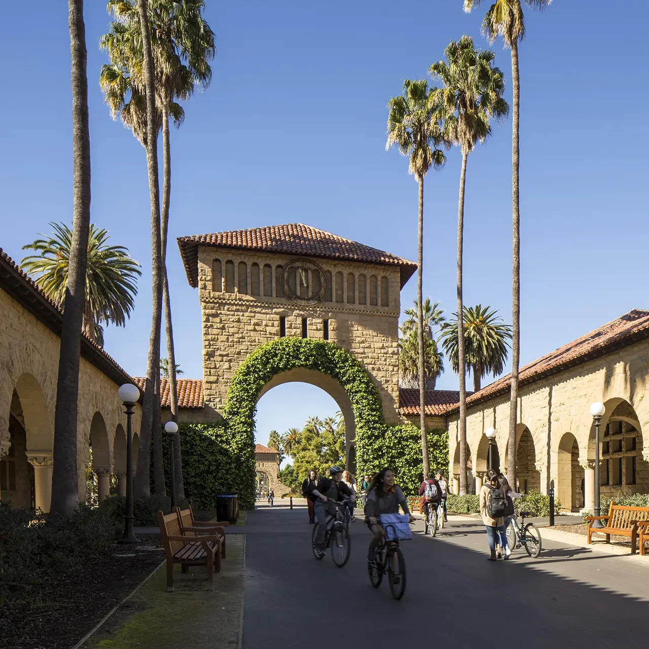 Stanford Lasuen Mall-David Lloyd-4540_print