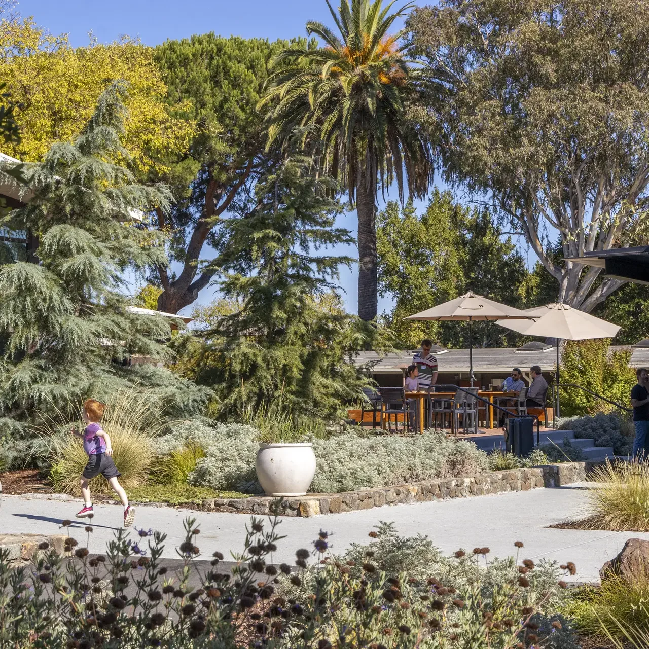 Stanford CASBS - Bill Tatham-0053_presentation