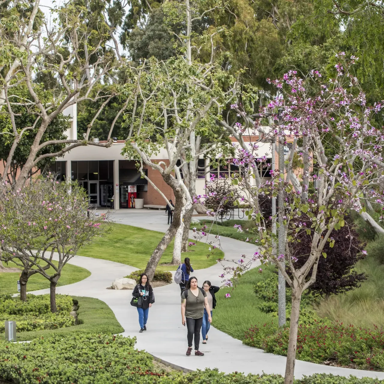 CSULB CSU Long Beach Horn Center Landscape-David Lloyd-7064_presentation