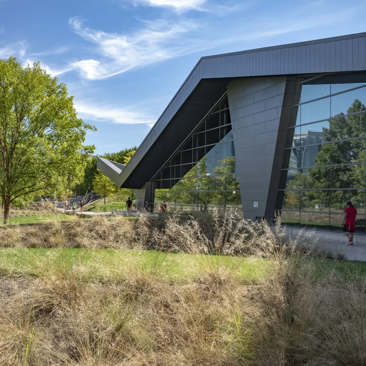 University of Cincinnati - Jonnu Singleton-3167_presentation