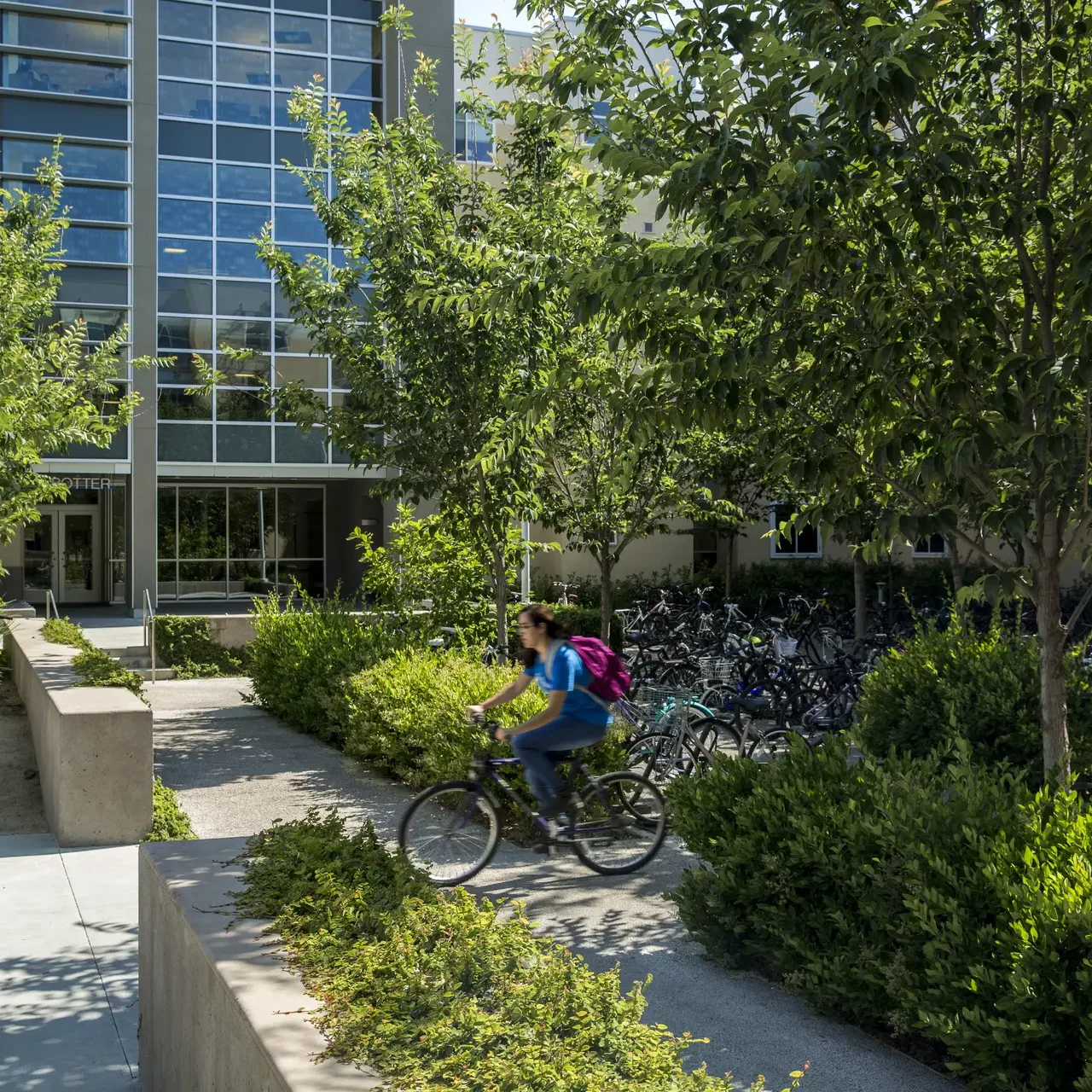 UC Davis Tercero Campus Housing 201505 Lloyd-22_presentation