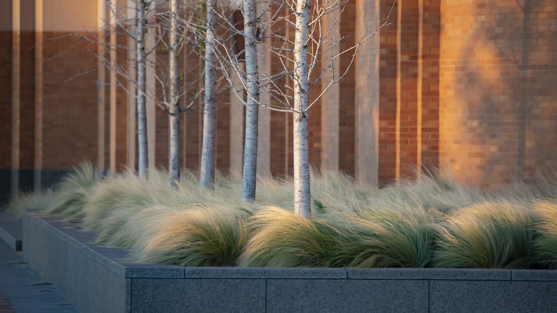 Dickies Arena - Jonnu Singleton-7502