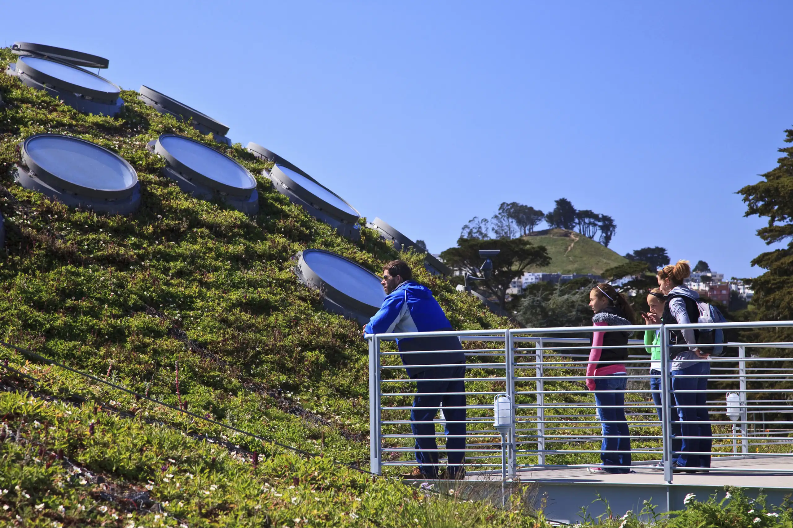 Higher Education_Cal Academy_2
